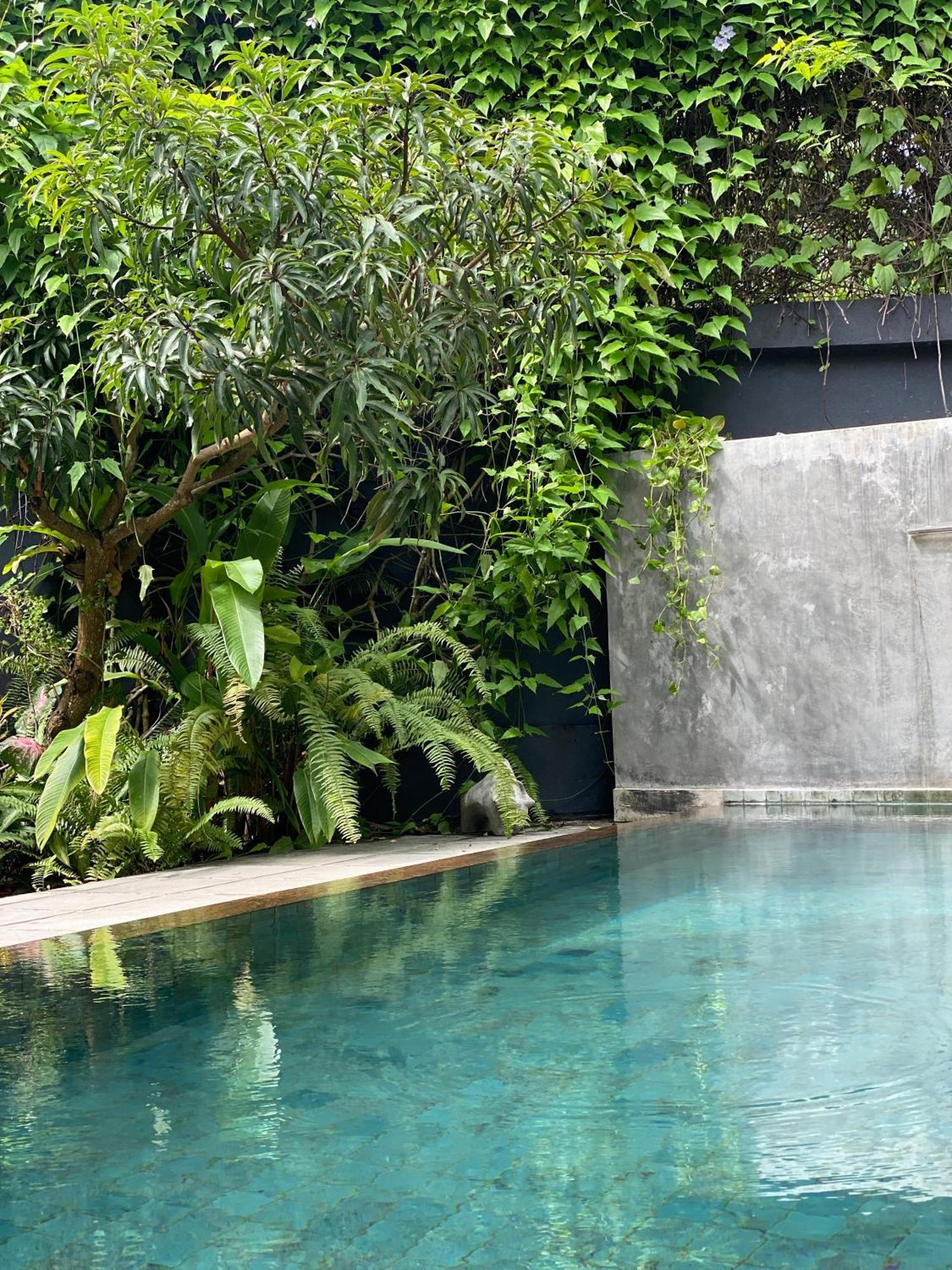 Lush Ayu Villa Ja Ela Bagian luar foto